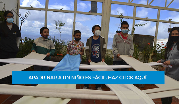 banner-thumb-naile